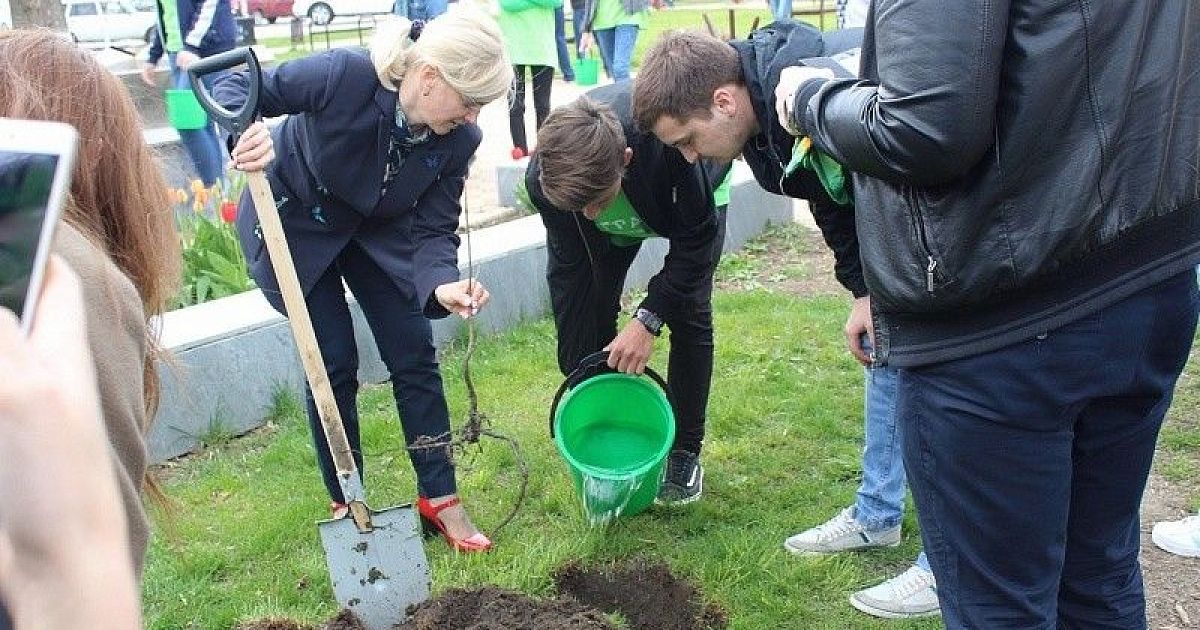 Кубань эко. Экологические волонтеры на Кубани. Волонтеры Динской. Волонтеры Динской район. Краснодар мир эко.