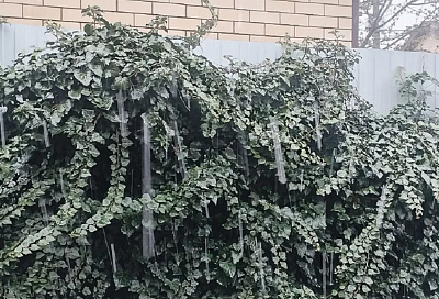 В Краснодаре 7 апреля пошел снег