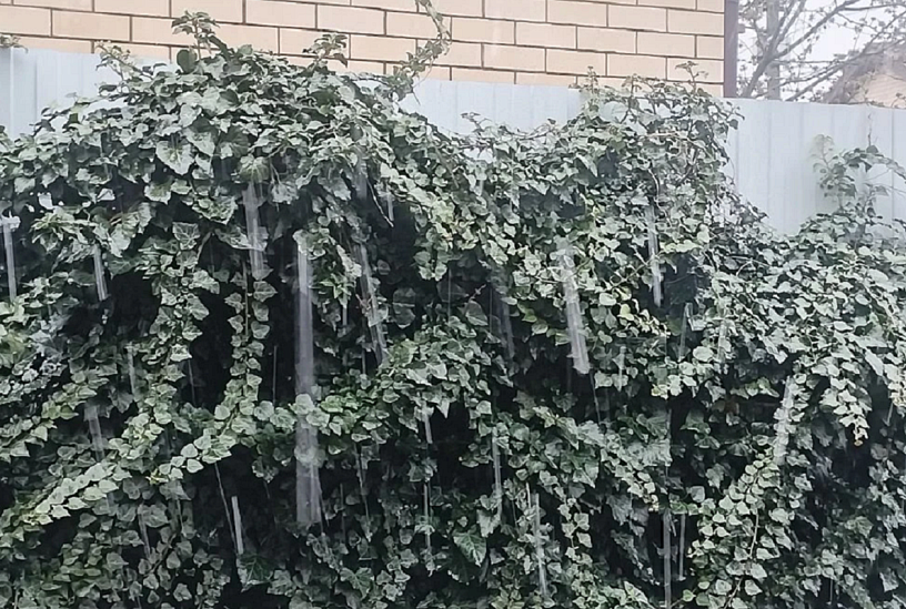 В Краснодаре 7 апреля пошел снег