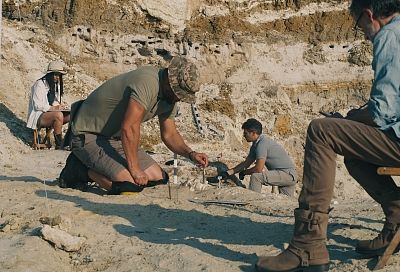 Брахиозавр со двора: португалец обнаружил у себя в саду кости динозавра
