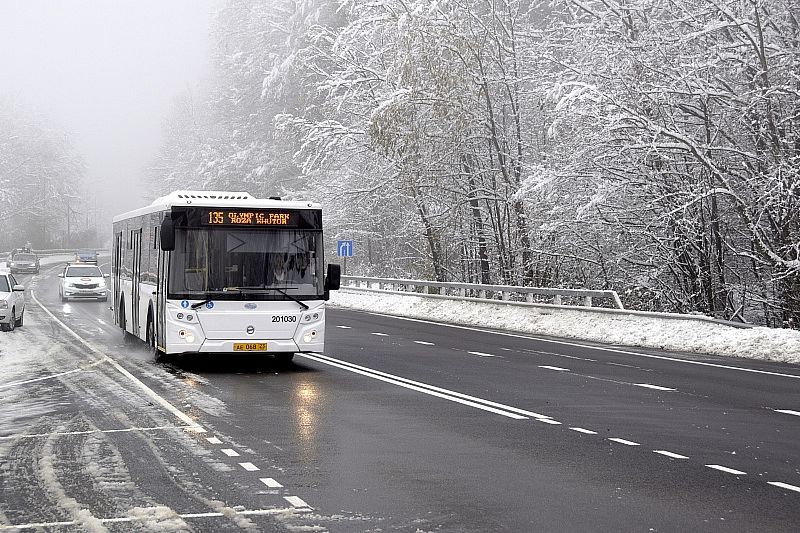 Дополнительные автобусы запустят из Сочи в Красную Поляну во время новогодних каникул