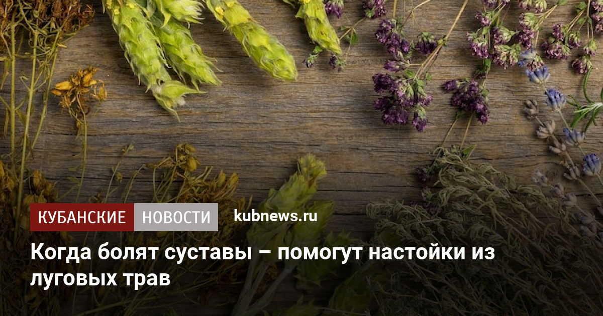 Когда болят суставы – помогут настойки из луговых трав. 16 января 2023 ...