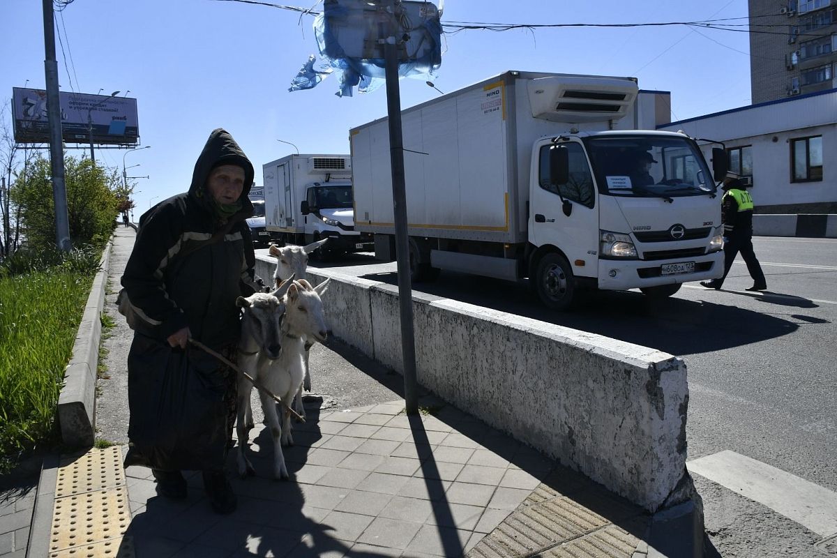 Всего в регионе организовано 11 временных постов и 13 - в Краснодаре.