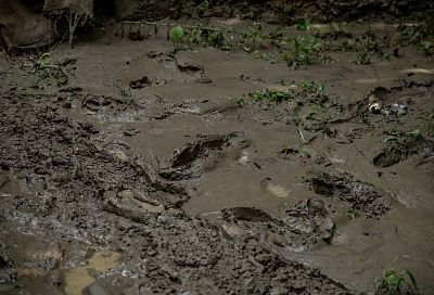В трех районах Краснодарского края сохраняется повышенный уровень рек