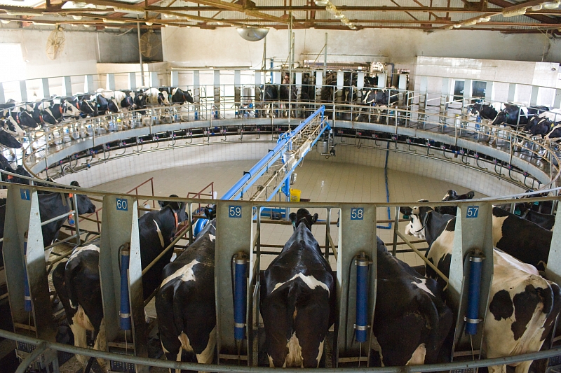 Современная животноводческая ферма – это предприятие, использующее высокотехнологичное оборудование.