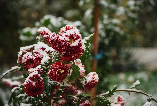Зарядят дожди, переходящие в снег: как будет меняться погода в южной части России
