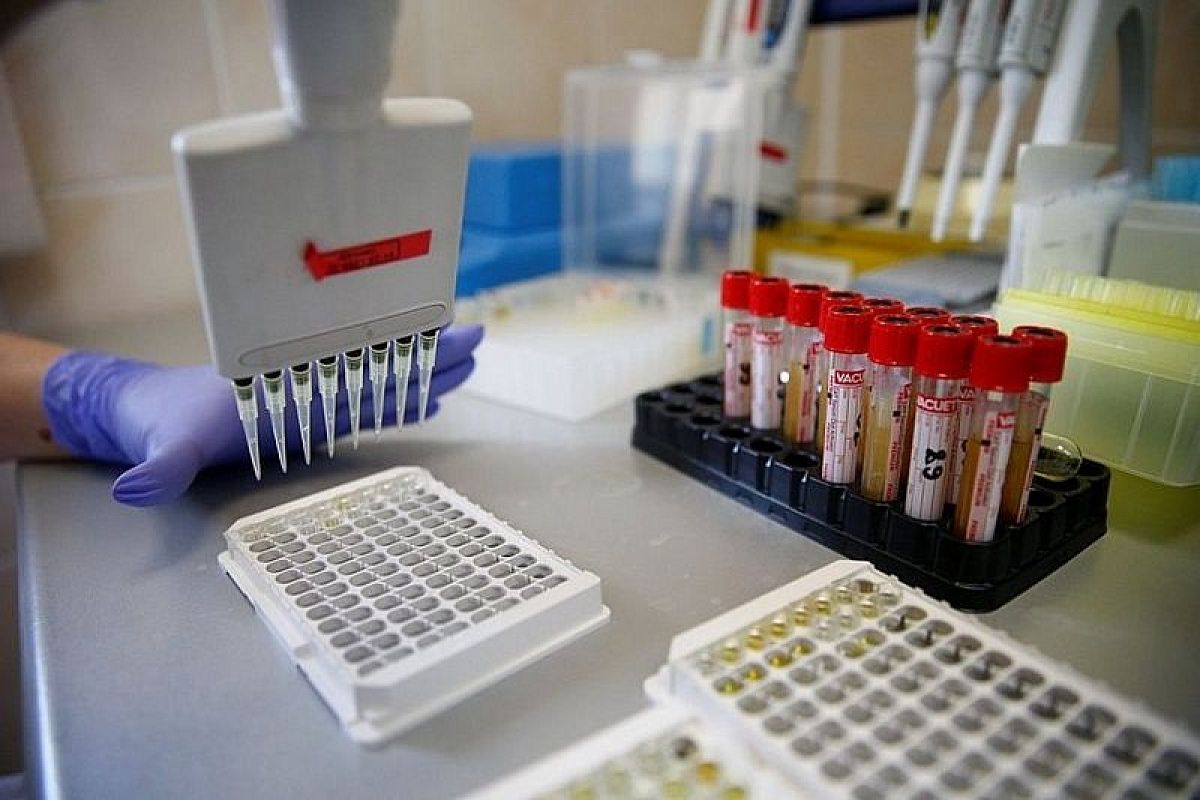 Коронавирусная инфекция за сутки выявлена в 25 городах и районах Краснодарского края 