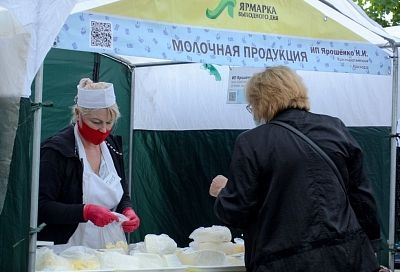 Около 290 тонн сельскохозяйственной продукции продали на ярмарках выходного дня в Краснодаре
