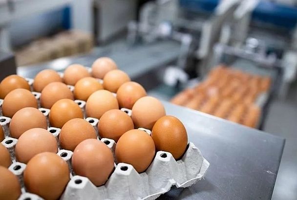Более 4,4 млн куриных яиц ввезли с начала года через порт Новороссийска 