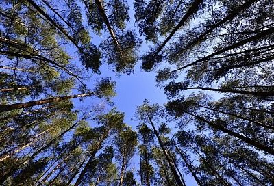 Народные приметы на сегодня – 10 марта, что можно и нельзя делать в день Тараса Бессонного по народному календарю