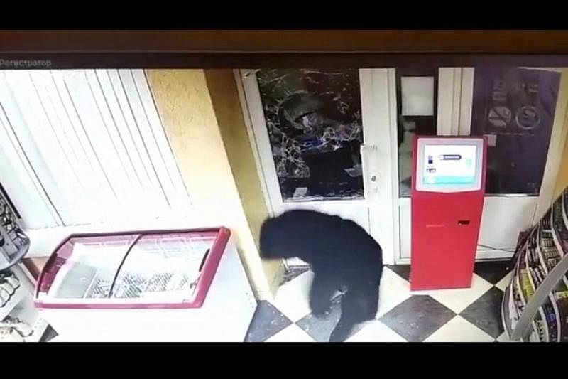 В Краснодарском крае вооруженный грабитель в маске за одну ночь ограбил две АЗС (видео)
