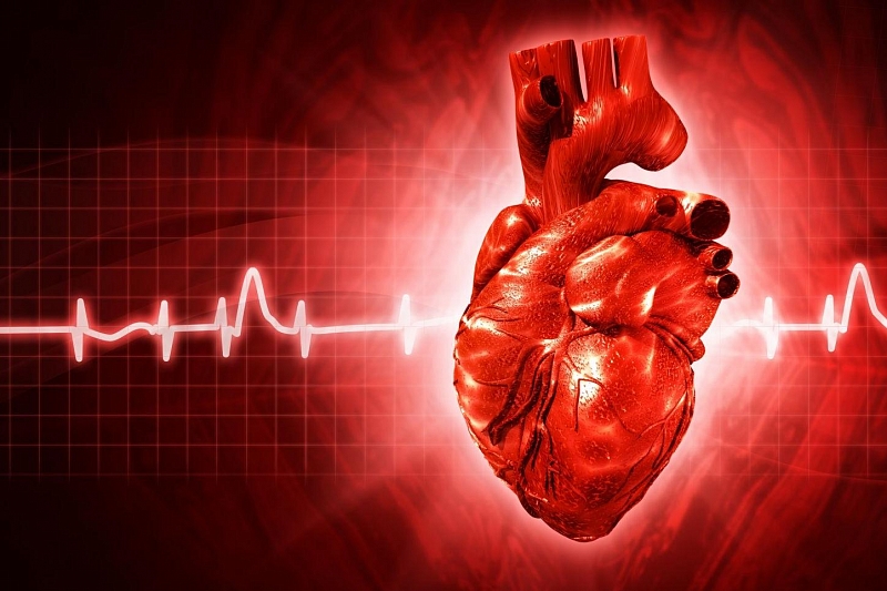 Кардиологи выяснили, как восстановить сердце после инфаркта