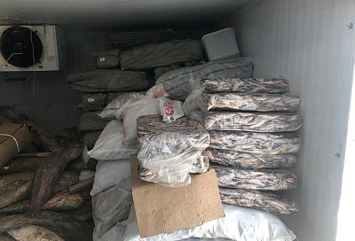 На Кубани полиция изъяла у браконьеров 54 тонны рыбы