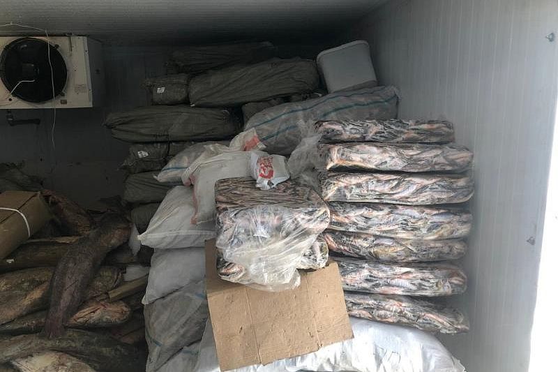 На Кубани полиция изъяла у браконьеров 54 тонны рыбы