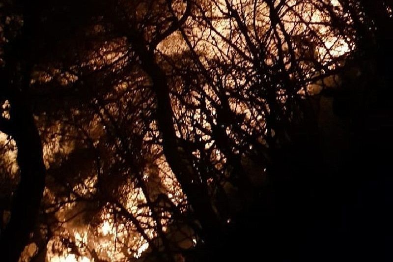 На горе Колдун в Новороссийске вновь загорелась лесная подстилка