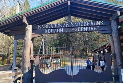 В Кавказском заповеднике и нацпарке Сочи назначены новые руководители  