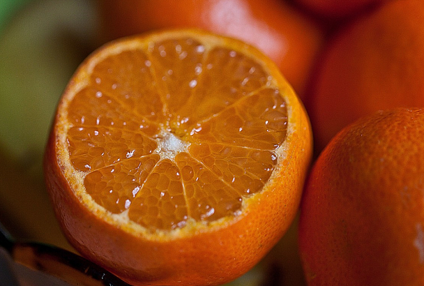 Около 25 тонн зараженных насекомыми апельсинов из Египта забраковали в порту Новороссийска