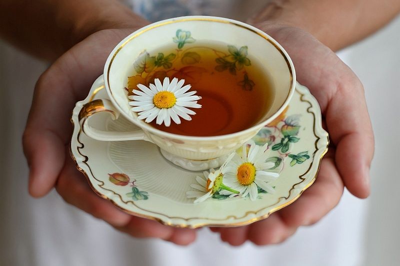 Ромашковый чай полезен для здоровья