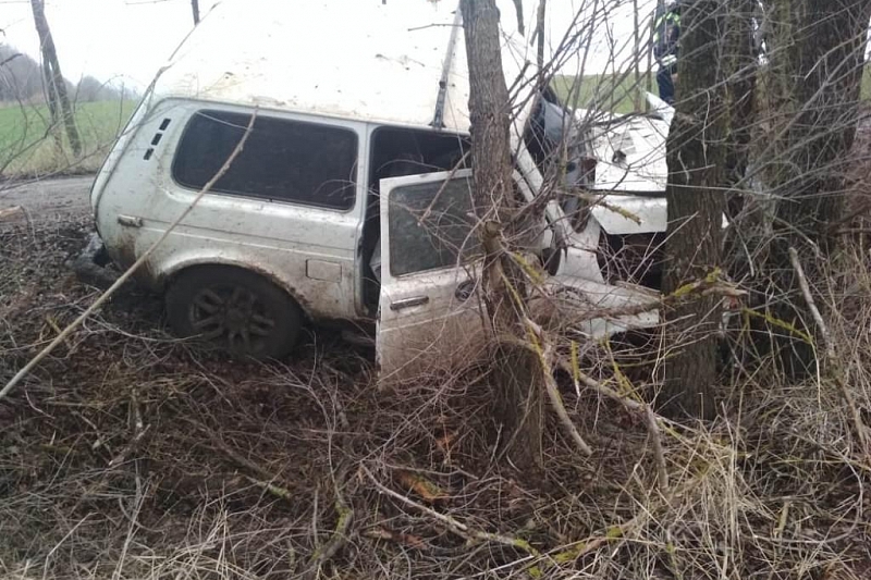 В Краснодарском крае пьяный водитель на «Ниве» врезался в дерево. Пострадали три человека