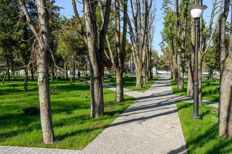 В Краснодаре открыли шесть информационных точек, где можно проголосовать за зеленые зоны 