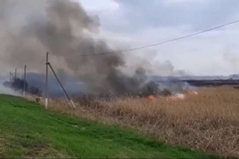 В Краснодаре потушили пожар на озере Лотосов на площади 500 кв. м