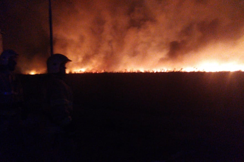 Губернатор поручил усилить пожарные расчеты на месте крупного возгорания в плавнях Анапы  