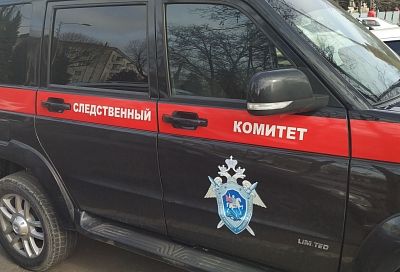 Агрессивная обезьяна покусала пенсионерку в Адыгее. Женщина умерла