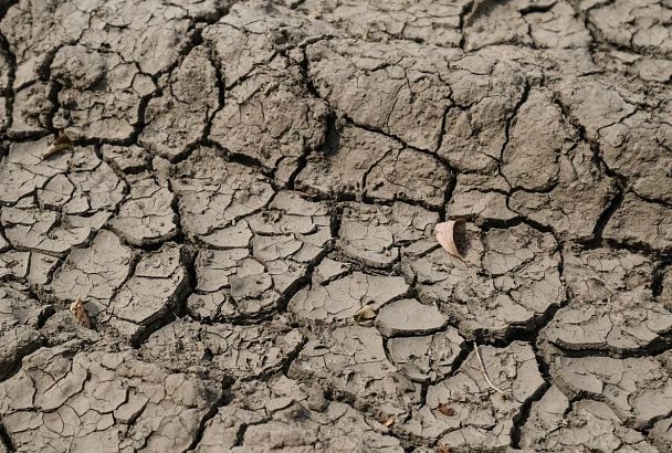 Засуха достигла опасного агрометеорологического явления в десяти районах Краснодарского края