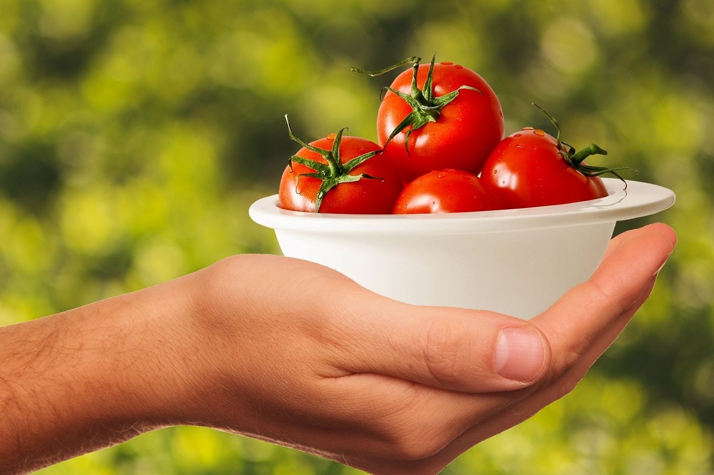 Красный свет: почему при больных суставах нельзя есть помидоры