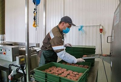 Сельхозкооператив в Щербиновском районе расширил производство, получив краевой грант