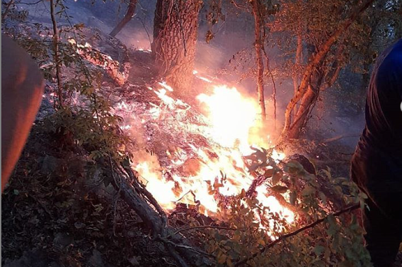 Работали на износ: спасатели рассказали, как тушили пожар на горе Колдун в Новороссийске 