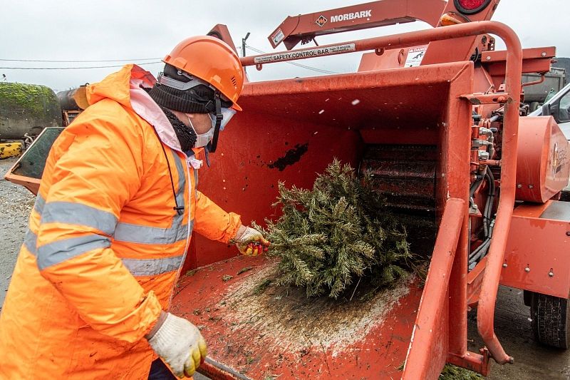Вторая жизнь новогодней елки: краснодарцам предлагают сдать деревца на переработку