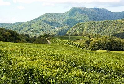 В Сочи новые экскурсионные маршруты посвятили адыгам