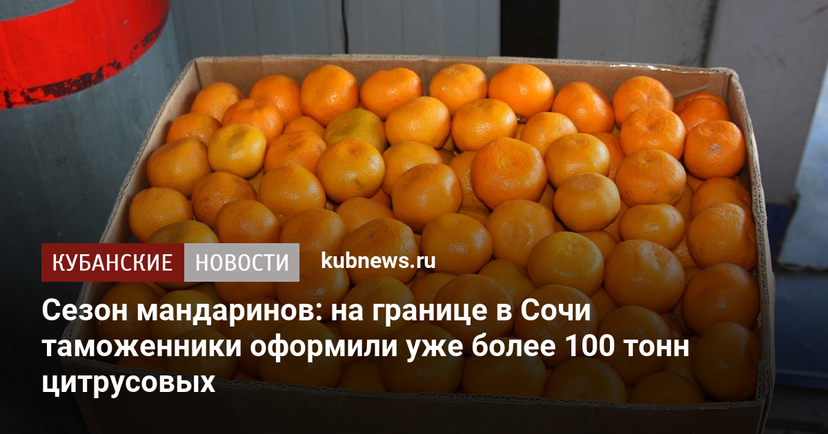 Сезон мандаринов: на границе в Сочи таможенники оформили уже более 100 тонн цитрусовых. 27 октября 2022 г. Кубанские новости