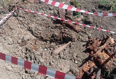 Минометную мину времен войны нашли на территории сельхозпредприятия в Краснодарском крае