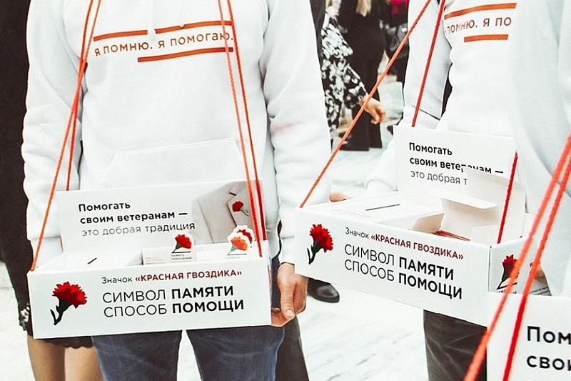 В Краснодарском крае проводят акцию «Красная гвоздика»