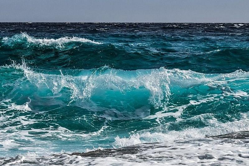 Роспотребнадзор объявил, что вода в Черном море безопасна для купания 