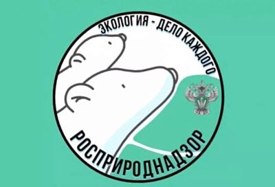Школьники из Краснодара могут побороться за путевки во Всероссийский детский центр «Орленок»