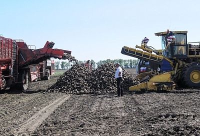 Подработка в полях набирает популярность: в России отклики выросли на 14%
