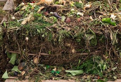 Как использовать компост с умом: делимся ценным удобрением по приоритетам