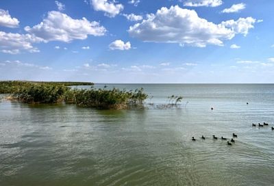 На лодке по плавням: на Кубани открыли серию водно-моторных турмаршрутов