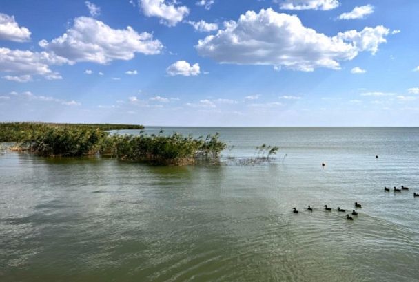 На лодке по плавням: на Кубани открыли серию водно-моторных турмаршрутов