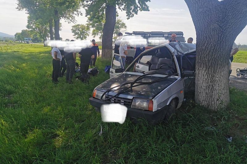 На Кубани легковушку смяло от удара об дерево: пострадали четыре человека