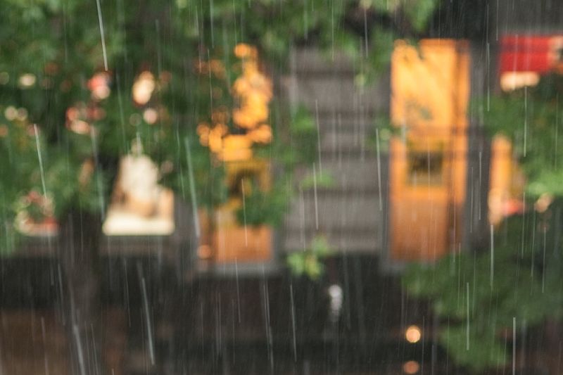 Дожди и прохлада: синоптики рассказали о погоде на Кубани в выходные