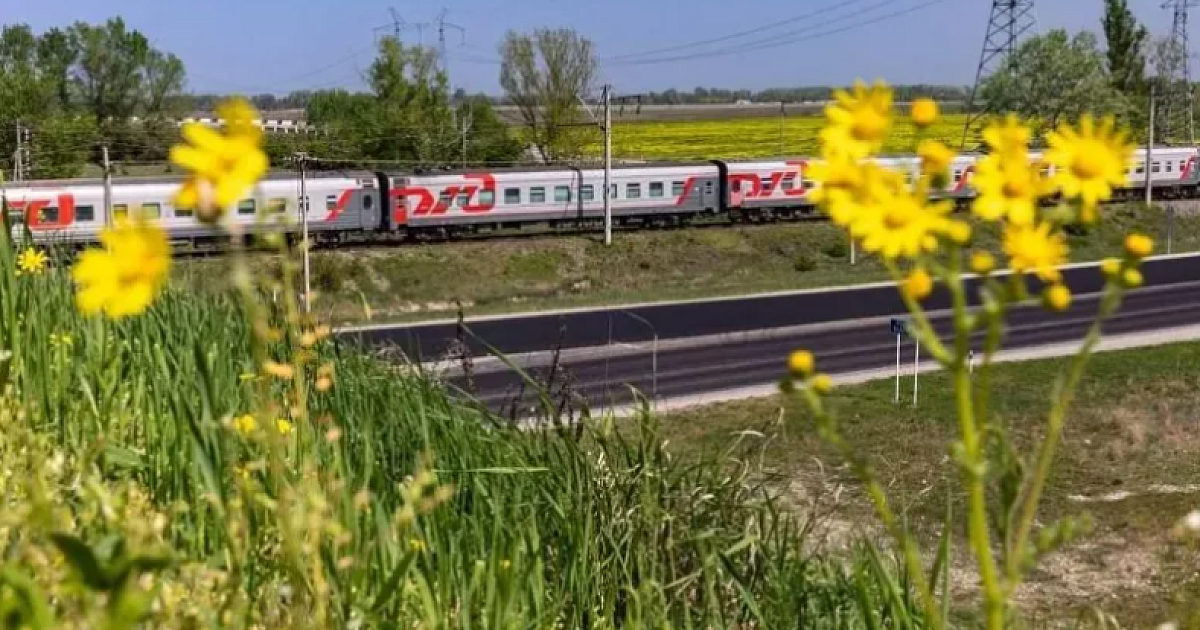 Сосногорск анапа поезд