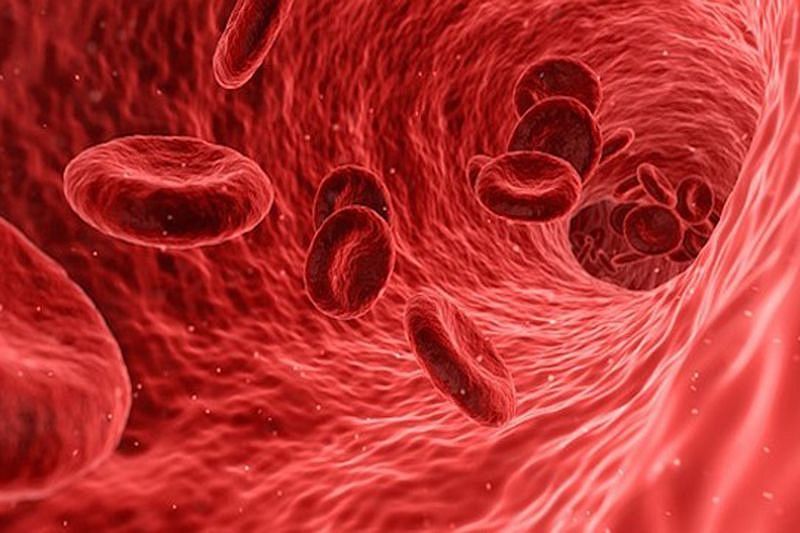 Как повысить уровень гемоглобина без дорогих лекарств