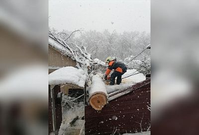 Спасатели помогли пенсионерке попасть в дом, на который упало дерево