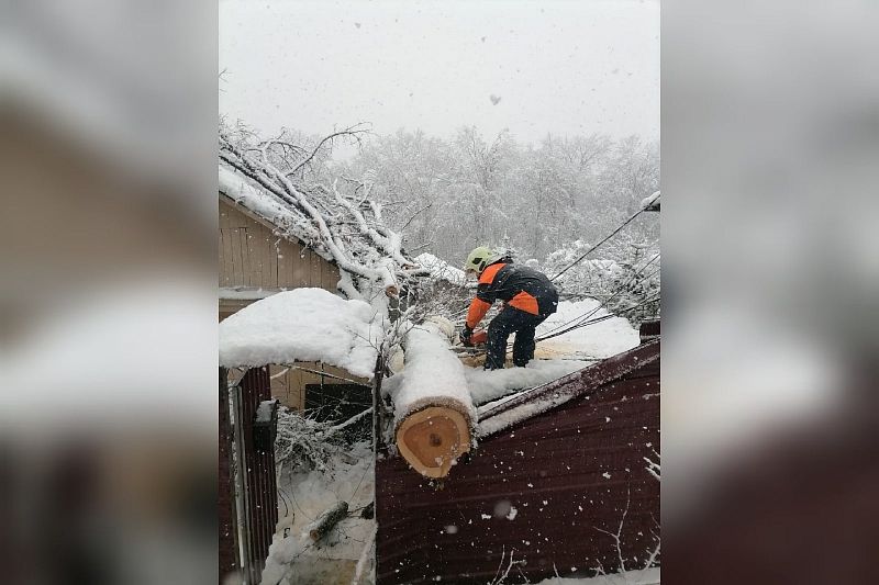 Спасатели помогли пенсионерке попасть в дом, на который упало дерево