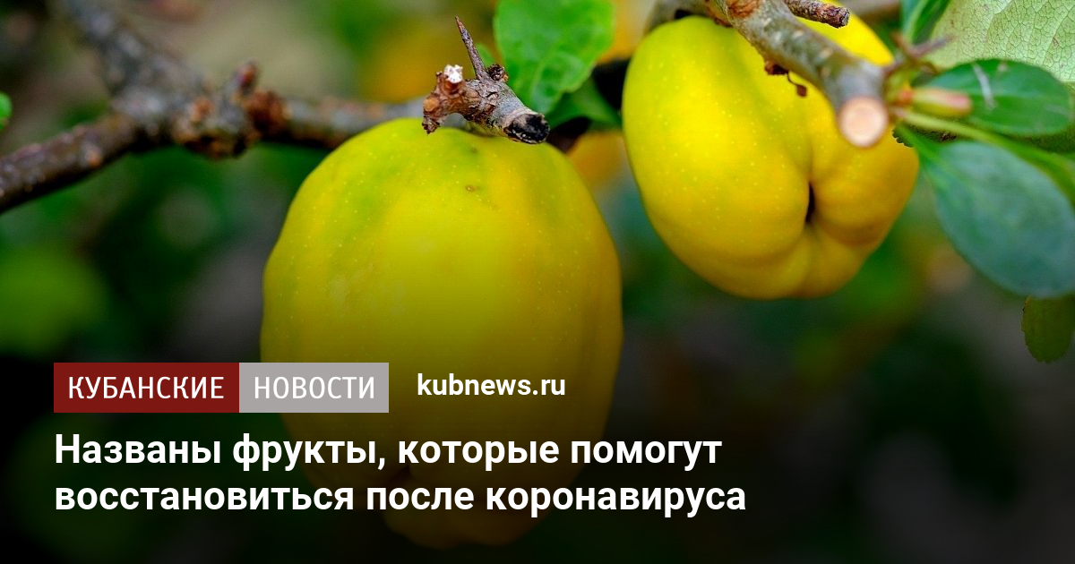 Фрукты которые крепят стул у взрослого