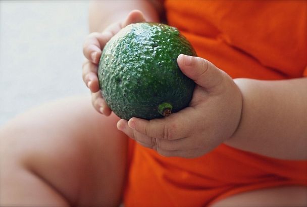 Не выбрасывайте косточку авокадо: ее можно есть, она очень полезна